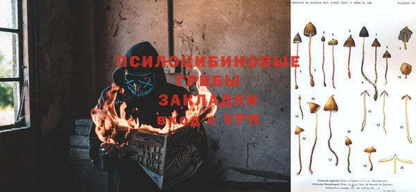 амф Володарск