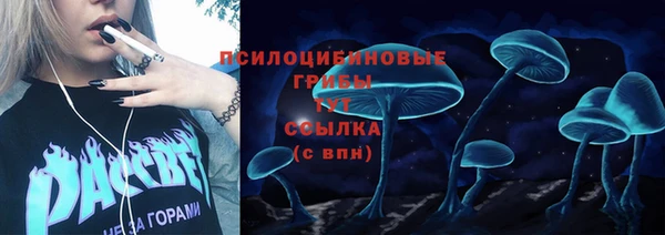 амф Володарск