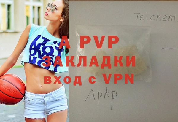 стафф Волоколамск