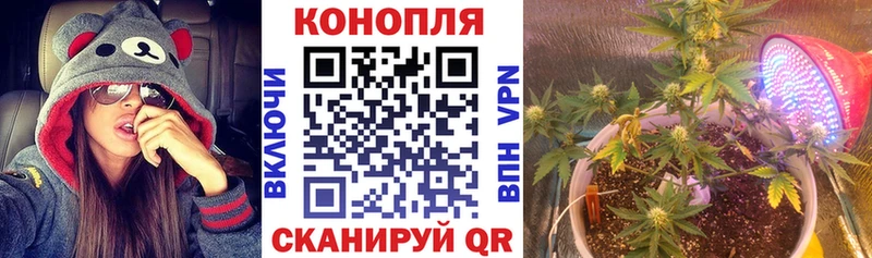Бошки марихуана планчик Рубцовск